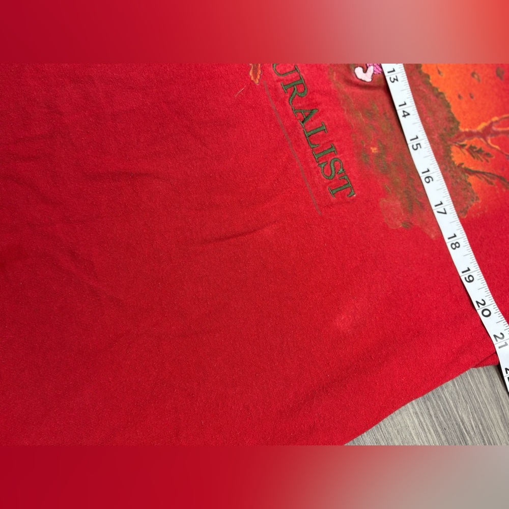 Vtg Disney Store Pooh Naturalist T-Shirt Sz L Red Piglet Single Stitch USA Made - Picture 11 of 11